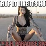 young inc. | DROP IT LIKE ITS HOT; E.P.B.H. PARADISE SPA | image tagged in young inc | made w/ Imgflip meme maker
