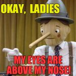 I had to think long and hard for a caption!  lol | OKAY,  LADIES; MY EYES ARE ABOVE MY NOSE! | image tagged in pinnocchio you have potential | made w/ Imgflip meme maker