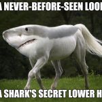 land-shark | A NEVER-BEFORE-SEEN LOOK; AT A SHARK'S SECRET LOWER HALF. | image tagged in land-shark | made w/ Imgflip meme maker