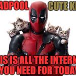 This Is All The Internet You Need Today | DEADPOOL; CUTE KITTENS; THIS IS ALL THE INTERNET YOU NEED FOR TODAY | image tagged in deadpool with kittens,cute kittens,my templates challenge,is this a clue,ready for a sequel,memes | made w/ Imgflip meme maker