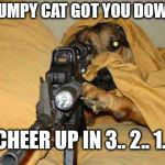 Grumpy Cat Got You Feeling Down? | GRUMPY CAT GOT YOU DOWN? CHEER UP IN 3.. 2.. 1.. | image tagged in sniper dog,memes,my templates challenge,grumpy cat,cat down,shoot the wings off a fly | made w/ Imgflip meme maker
