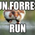 Funny Animals | RUN FORREST; RUN | image tagged in funny animals | made w/ Imgflip meme maker