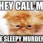 Funny animals | THEY CALL ME; THE SLEEPY MURDERER | image tagged in funny animals | made w/ Imgflip meme maker