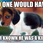 Funny animals | NO ONE WOULD HAVE; EVER KNOWN HE WAS A KILLER | image tagged in funny animals | made w/ Imgflip meme maker