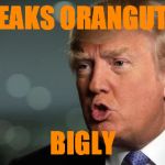 Trump | SPEAKS ORANGUTAN; BIGLY | image tagged in trump | made w/ Imgflip meme maker