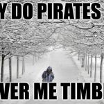 WINTER | WHY DO PIRATES SAY; SHIVER ME TIMBER? | image tagged in winter,memes,pirate | made w/ Imgflip meme maker
