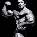Schwarzenegger Posing
