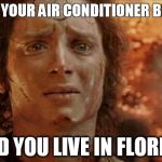 Florida Burns Us! | WHEN YOUR AIR CONDITIONER BREAKS; AND YOU LIVE IN FLORIDA | image tagged in frodo in mt doom | made w/ Imgflip meme maker