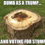 stump | DUMB AS A TRUMP... ...AND VOTING FOR STUMP! | image tagged in stump | made w/ Imgflip meme maker