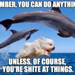 Dog swims with dolphins  | REMEMBER, YOU CAN DO ANYTHING....... UNLESS, OF COURSE, YOU'RE SHITE AT THINGS. | image tagged in dog swims with dolphins | made w/ Imgflip meme maker