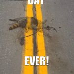 Roadkill line paint | DAY; WORST; EVER! | image tagged in roadkill line paint | made w/ Imgflip meme maker