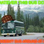 Denali Park Alaska Shuttle Bus | WHATEVER THIS BUS DOES; IT DOESN'T BUS AROUND AT ALL | image tagged in denali park alaska shuttle bus,scumbag,no screwing around | made w/ Imgflip meme maker