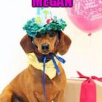 dachshund birthday  | HAPPY BIRTHDAY MEGAN | image tagged in dachshund birthday | made w/ Imgflip meme maker