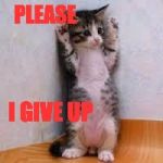 Cats  | PLEASE; I GIVE UP | image tagged in cats | made w/ Imgflip meme maker
