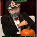 Most obviously interesting pumpkin | PUMPKINS; DON'T GROW ON TREES | image tagged in most obviously interesting pumpkin,pumpkin,pumpkin spice,money,success,captain obvious | made w/ Imgflip meme maker
