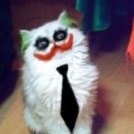 Clown Cat meme