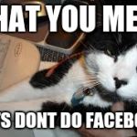 Funny animals | WHAT YOU MEAN; 'CATS DONT DO FACEBOOK' | image tagged in funny animals | made w/ Imgflip meme maker