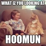 Funny animals | WHAT IZ YOU LOOKING AT; HOOMUN | image tagged in funny animals | made w/ Imgflip meme maker