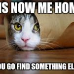Funny animals | DIS NOW ME HOME; YOU GO FIND SOMETHING ELSE | image tagged in funny animals | made w/ Imgflip meme maker