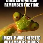 I am genuinely curious as to who else remembers this.  | DOES ANYONE ELSE REMEMBER THE TIME; IMGFLIP WAS INFESTED WITH MANTIS MEMES. | image tagged in mantis face,meme,raydog,am i the only one around here,imgflip | made w/ Imgflip meme maker