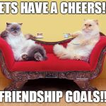 Friendship is Important for all cats | LETS HAVE A CHEERS!!! FRIENDSHIP GOALS!! | image tagged in memes,cats | made w/ Imgflip meme maker