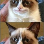 Happy Grumpy cat photoshop | HI. NO DELETE THAT I LOOK NOTHING LIKE THAT BURN IT. | image tagged in happy grumpy cat photoshop | made w/ Imgflip meme maker
