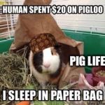 Pig life | PIG LIFE | image tagged in pig life,scumbag | made w/ Imgflip meme maker