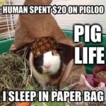 Pig life | PIG LIFE | image tagged in pig life,scumbag | made w/ Imgflip meme maker