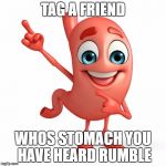 scumbagstomach | TAG A FRIEND; WHOS STOMACH YOU HAVE HEARD RUMBLE | image tagged in scumbagstomach | made w/ Imgflip meme maker