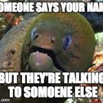 Mother of god eel | SOMEONE SAYS YOUR NAME; BUT THEY'RE TALKING TO SOMOENE ELSE | image tagged in mother of god eel | made w/ Imgflip meme maker