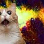 WOW CAT! 2 (in space) meme