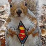 super squirrel