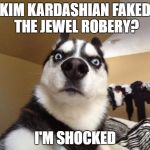 Shocked dog | KIM KARDASHIAN FAKED THE JEWEL ROBERY? I'M SHOCKED | image tagged in shocked dog | made w/ Imgflip meme maker