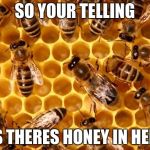 cars kill honeybees  | SO YOUR TELLING; US THERES HONEY IN HERE | image tagged in cars kill honeybees | made w/ Imgflip meme maker