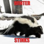 Skunk in Snow | WINTER; STINKS | image tagged in skunk in snow | made w/ Imgflip meme maker