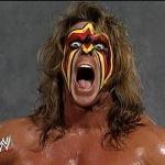 ultimate warrior