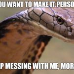 NEVER A GOOD IDEA TO MAKE IT PERSONAL | SO YOU WANT TO MAKE IT PERSONAL? KEEP MESSING WITH ME, MORON | image tagged in snakes,pissed off,memes | made w/ Imgflip meme maker