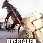 Overloaded donkey | OVERTAXED | image tagged in overloaded donkey | made w/ Imgflip meme maker