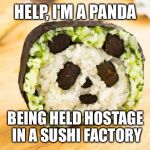 Third submission - sushi!  (Actually Maki but hey not too many people know the difference) | HELP, I'M A PANDA; BEING HELD HOSTAGE IN A SUSHI FACTORY | image tagged in panda sushi,memes | made w/ Imgflip meme maker