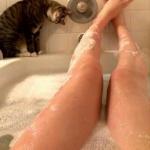 Sphinx pussy cat