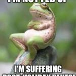 Fed Up Frog | I'M NOT FED UP; I'M SUFFERING POST-HOLIDAY BLUES! | image tagged in fed up frog | made w/ Imgflip meme maker