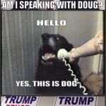 Phone Banking with Ted Cruz | HELLO; AM I SPEAKING WITH DOUG? | image tagged in ted cruz,donald trump,make donald drumpf again,dog,phone,phone banking | made w/ Imgflip meme maker