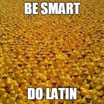 ducks | BE SMART; DO LATIN | image tagged in ducks | made w/ Imgflip meme maker