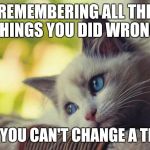 Sad Kitty | REMEMBERING ALL THE THINGS YOU DID WRONG; AND YOU CAN'T CHANGE A THING | image tagged in sad kitty | made w/ Imgflip meme maker
