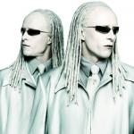 twins matrix