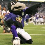 Baltimore Ravens