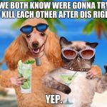 Cat and Dog Sipping Cocktails | WE BOTH KNOW WERE GONNA TRY AN KILL EACH OTHER AFTER DIS RIGHT? YEP. | image tagged in cat and dog sipping cocktails | made w/ Imgflip meme maker