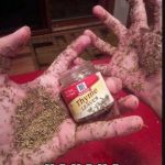 Thyme | THYME'S RUNNING OUT; H A H A H A | image tagged in thyme | made w/ Imgflip meme maker