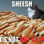 only the best meme from the factory | SHEESH; IT'S NOT; HOT CATS! | image tagged in too many hot dogs,memes | made w/ Imgflip meme maker