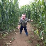 Corn Maze Kid meme